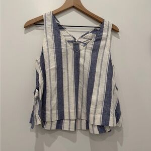 Madewell Blue and White Striped Tank Top